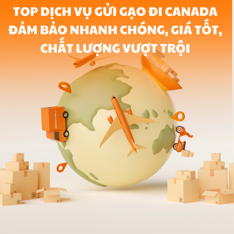 TOP dịch vụ gửi gạo đi Canada đảm bảo nhanh chóng, giá tốt, chất lượng vượt trội