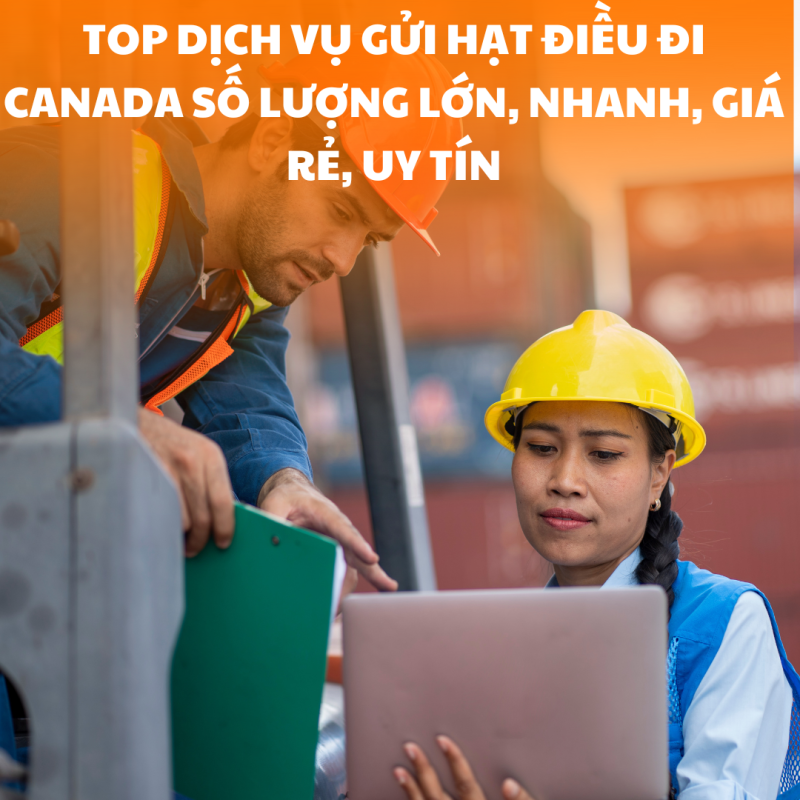 TOP dịch vụ gửi hạt điều đi Canada số lượng lớn, nhanh, giá rẻ, uy tín