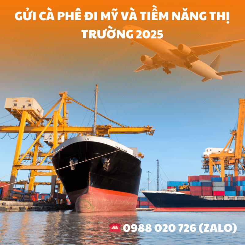 Gửi Cà Phê Đi Mỹ Và Tiềm Năng Thị Trường 2025