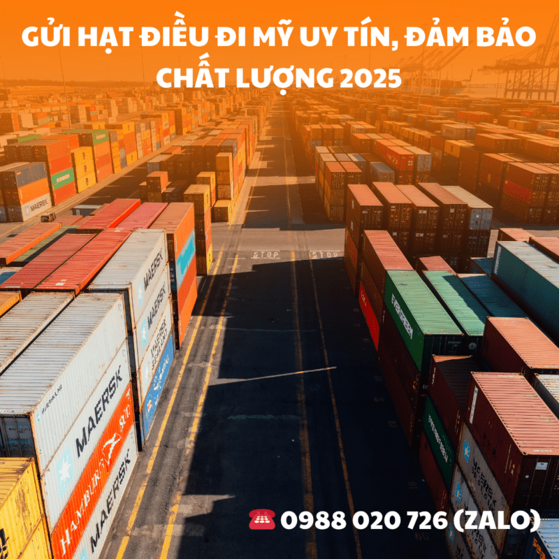 Gửi hạt điều đi Mỹ uy tín, đảm bảo chất lượng 2025