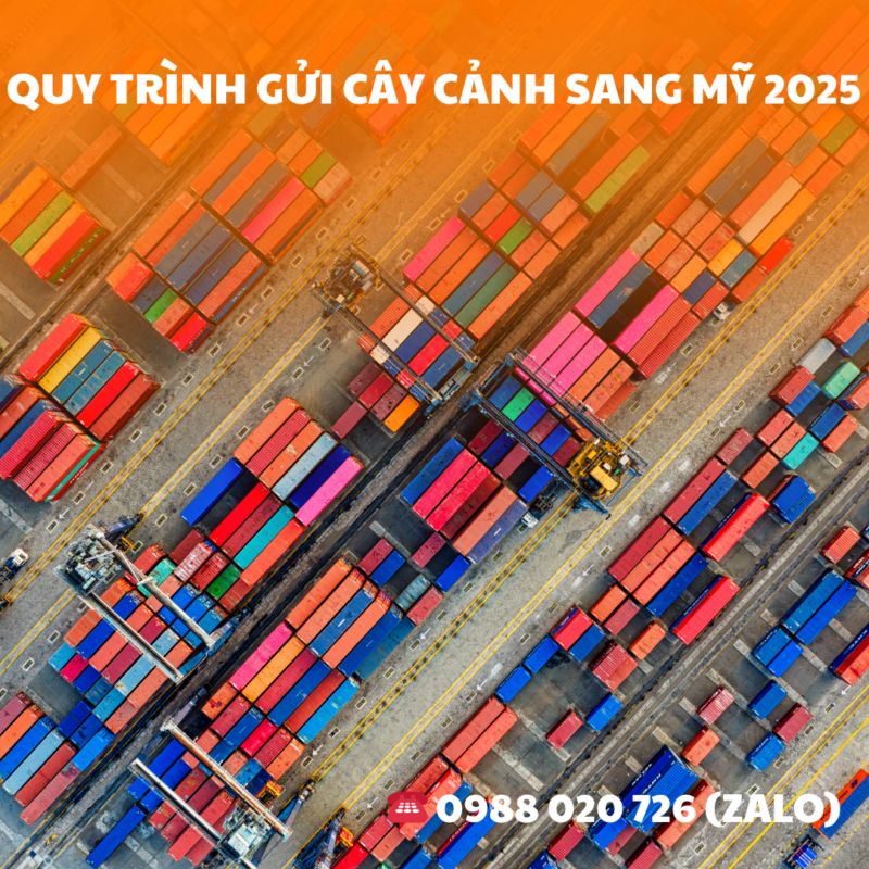 dịch vụ vận chuyển, gửi hàng tiết kiệm, vận chuyển, Vận chuyển giá rẻ, vận chuyển nước ngoài, Vận chuyển Quốc tế, vận chuyển toàn quốc