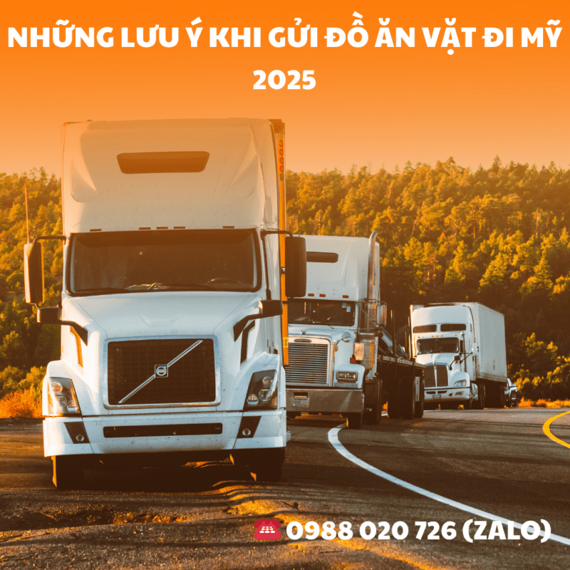 Những lưu ý khi gửi đồ ăn vặt đi Mỹ 2025