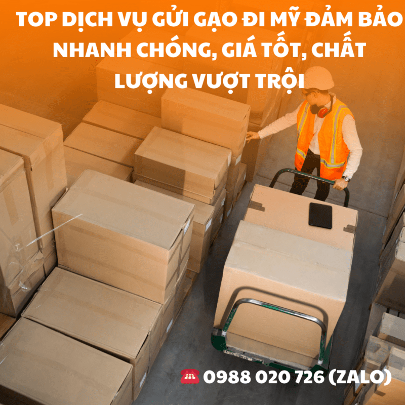 TOP dịch vụ gửi gạo đi Mỹ đảm bảo nhanh chóng, giá tốt, chất lượng vượt trội