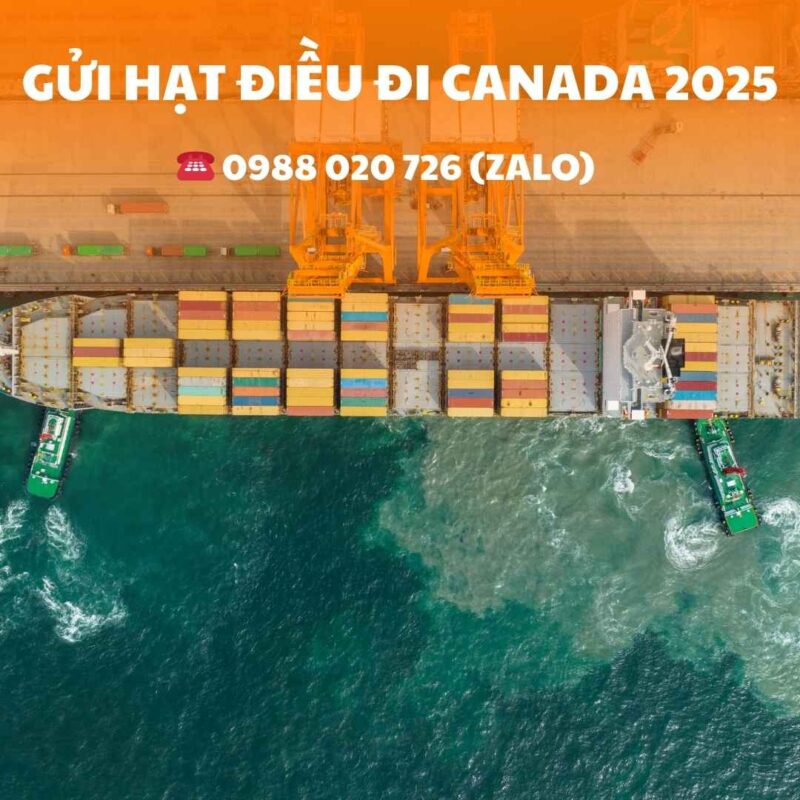 Gửi Hạt Điều Đi Canada 2025
