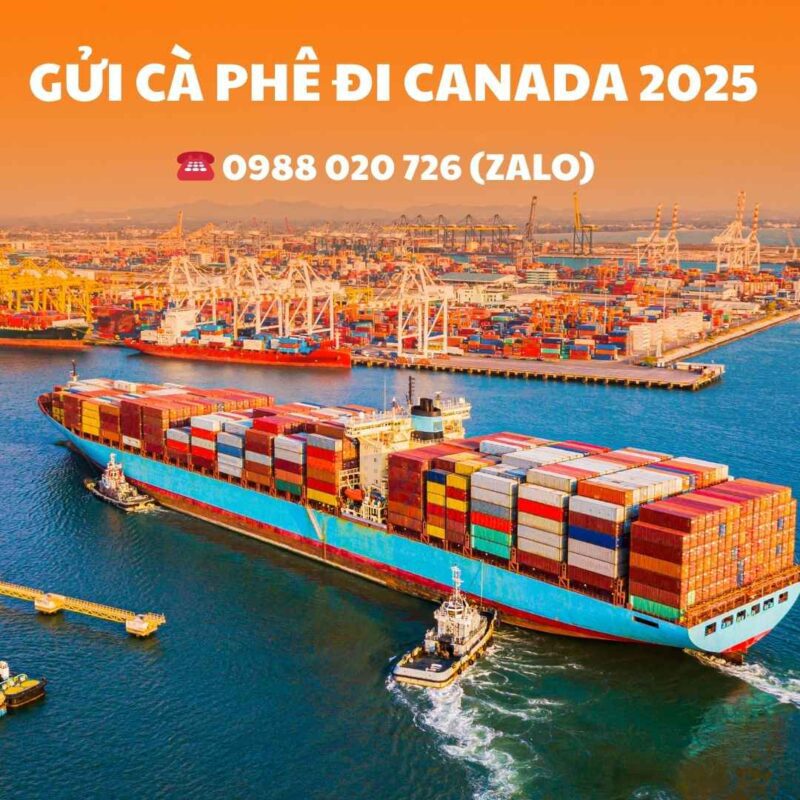 Gửi cà phê đi Canada 2025