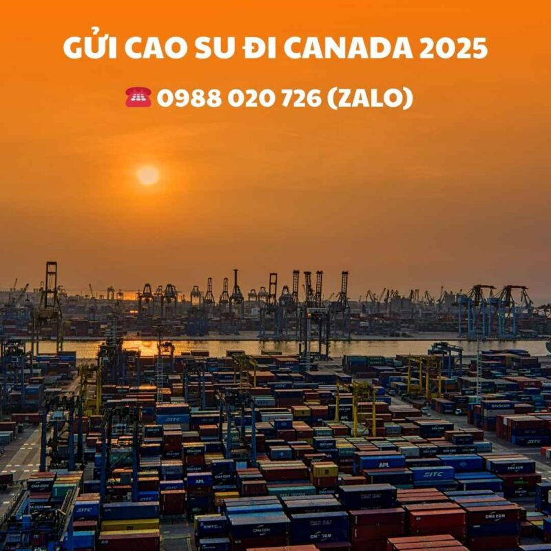 Gửi cao su đi Canada 2025