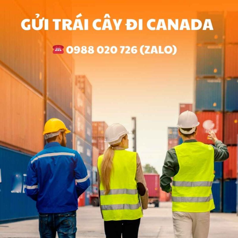 Gửi trái cây đi Canada