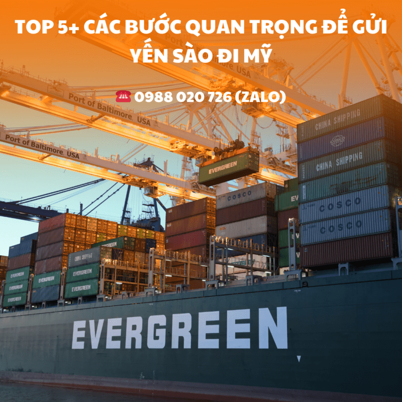 gửi yến sào đi Mỹ