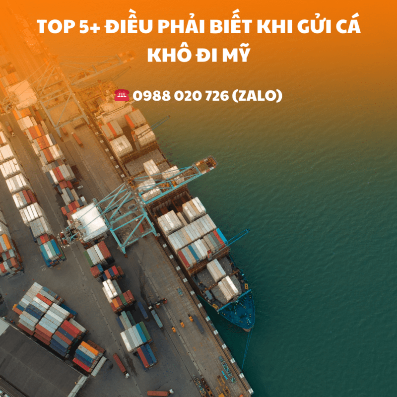 TOP 5+ Điều phải biết khi gửi cá khô đi Mỹ