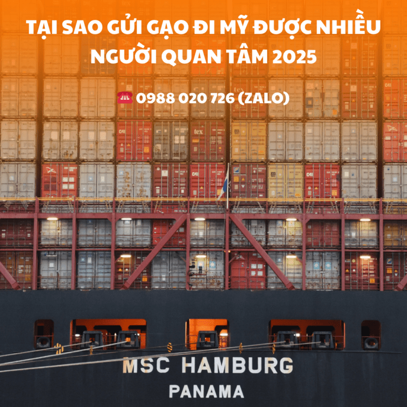 Tại Sao Gửi Gạo Đi Mỹ Được Nhiều Người Quan Tâm 2025 (1)